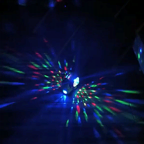 Crawling Crab/Snail Interactive Toy