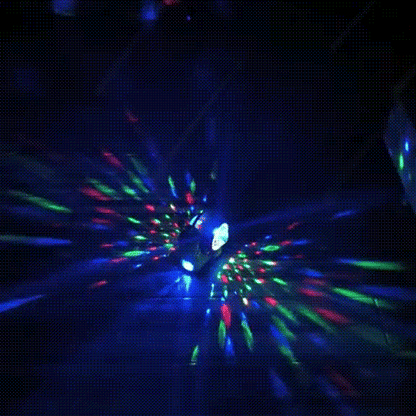 Crawling Crab/Snail Interactive Toy